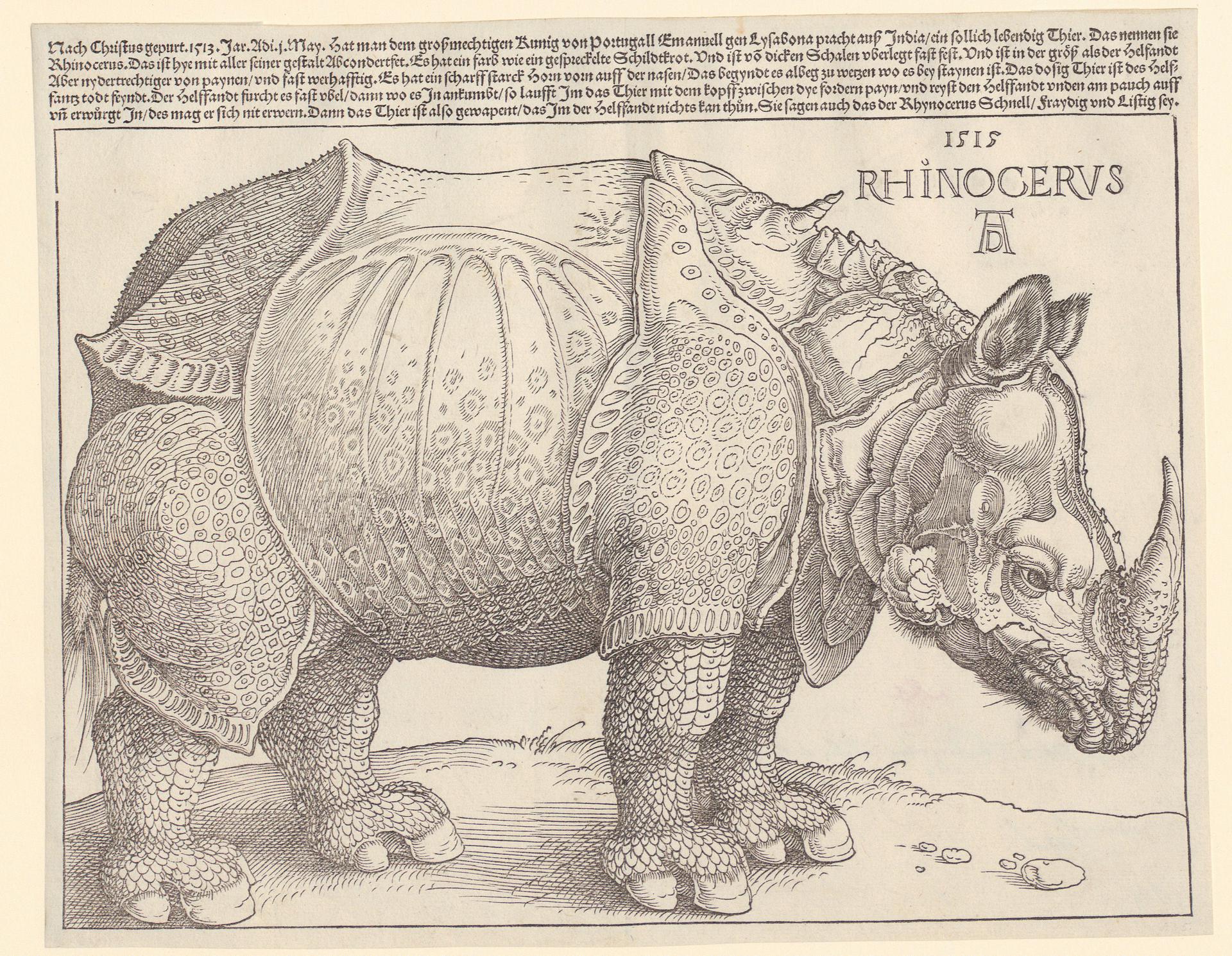 Albrecht Dürer, Rhinocerus (Il rinoceronte), 1515, xilografia e stampa tipografica. Graphische Sammlung ETH Zürich