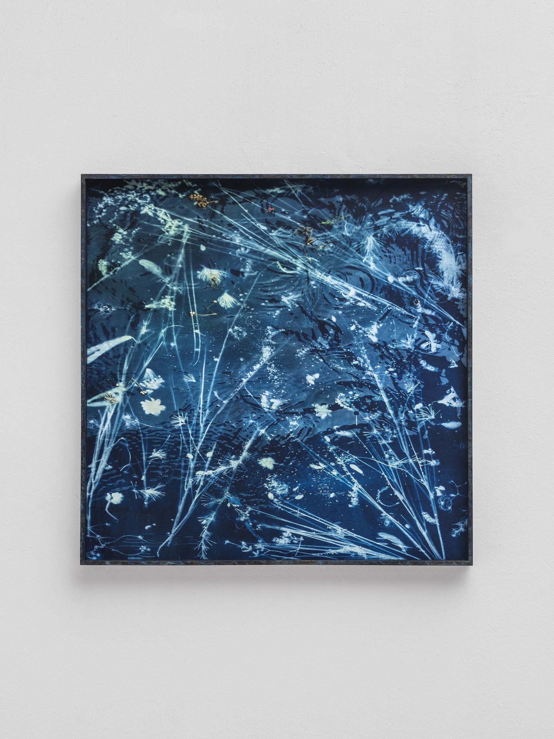 Silvia Mariotti, Drowning Light, 2022-2023, stampa inkjet su carta cotone e dibond, cornice in ottone patinato, carta da parati, neon, dimensioni variabili 